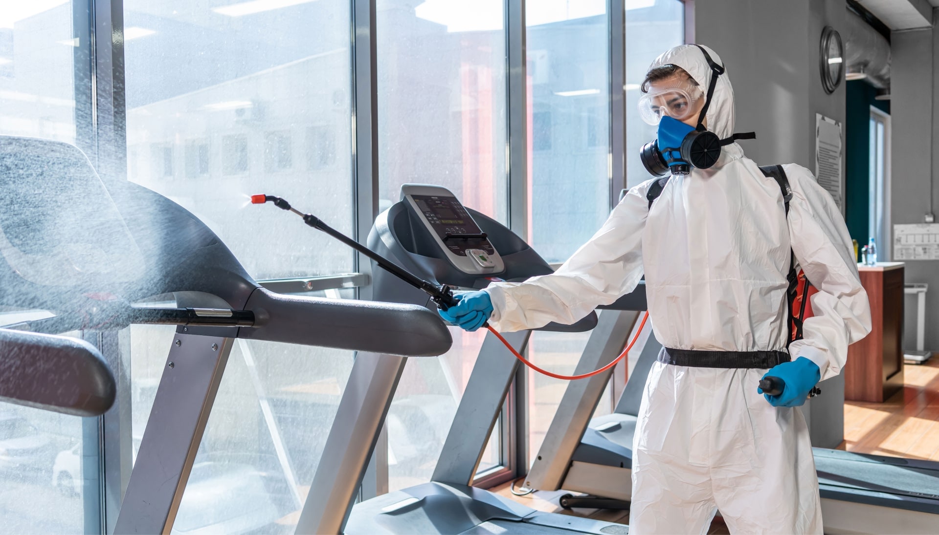 Commercial Mold Removal Services in Hollywood