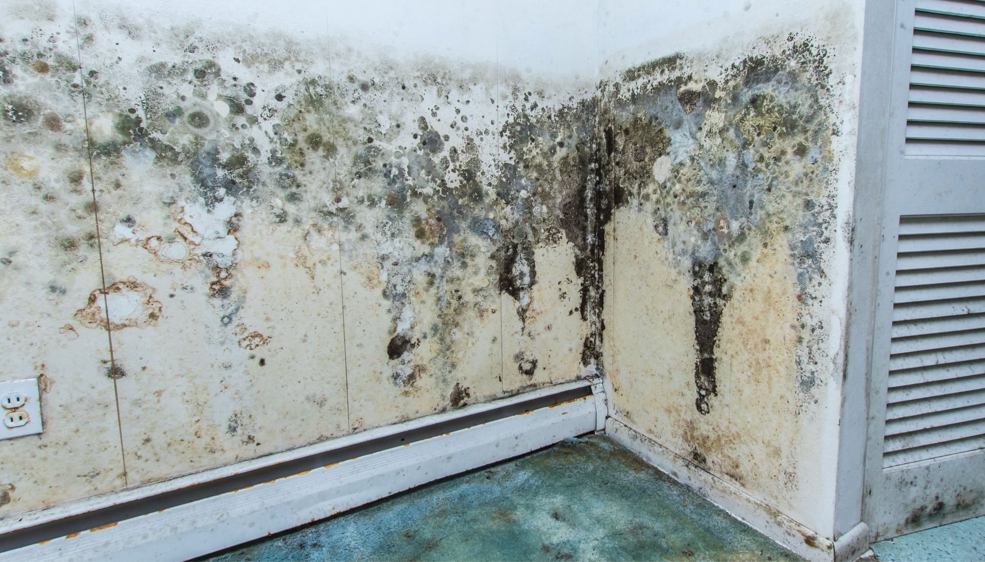 A mold remediation team using specialized techniques to remove mold damage and control odors in a Hollywood property, with a focus on safety and efficiency